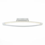 Накладной светильник ST-Luce SL920.102.01