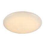 Накладной светильник ST-Luce SL875.062.01