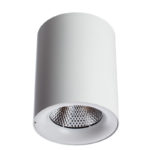 Накладной светильник ARTE Lamp A5118PL-1WH