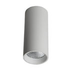 Накладной светильник LeDron SLC7392/12W-W