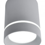 Накладной светильник ARTE Lamp A1909PL-1GY