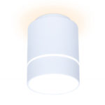 Накладной светильник Ambrella Light TN255