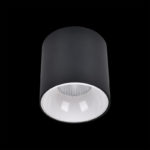 Citilux