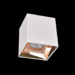 Citilux