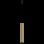 Светильник на шине Maytoni Technical TR025-1-GU10-MG — изображение 4