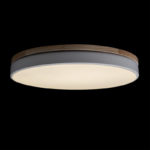 Накладной светильник LOFT IT 10001/36 White — изображение 4