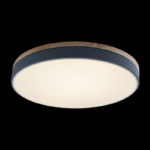 Накладной светильник LOFT IT 10001/36 Grey — изображение 3
