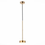 Подвесной светильник ST-Luce SL6000.303.01