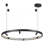 Подвесной светильник Odeon Light 4317/93L — изображение 5