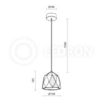 LeDron
