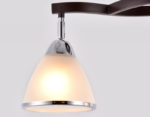 Ambrella Light