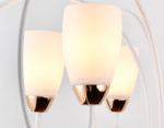 Ambrella Light