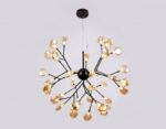 Ambrella Light