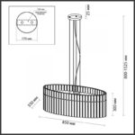Odeon Light