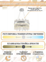 Подвесная люстра Natali Kovaltseva LED LAMPS 81261 — изображение 3