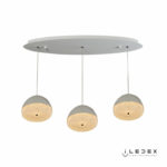 iLedex