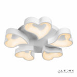 iLedex