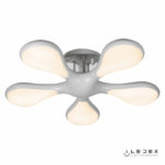 iLedex