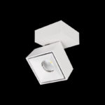 Citilux