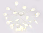 Ambrella Light