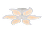 Ambrella Light