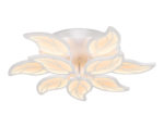 Ambrella Light