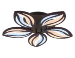 Ambrella Light