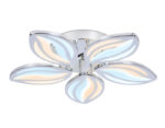 Ambrella Light