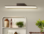 Светильник для картин Ambrella Light FW422 — изображение 3