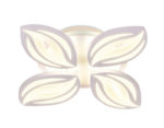 Ambrella Light
